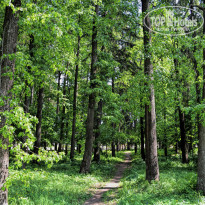 фото из отзыва ID 2648185