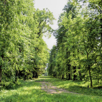 фото из отзыва ID 2648185