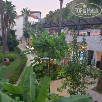 фото из отзыва ID 2647509