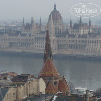 фото из отзыва ID 265512