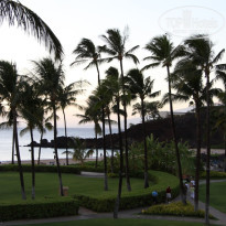 фото из отзыва ID 265933