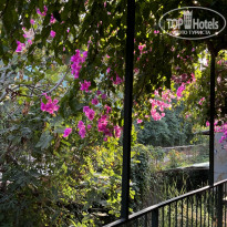 фото из отзыва ID 2650006