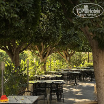 фото из отзыва ID 2650006