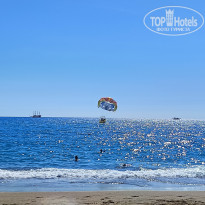 фото из отзыва ID 2650069