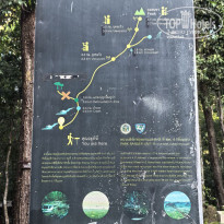 фото из отзыва ID 2650079