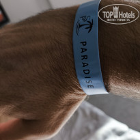 фото из отзыва ID 2650086