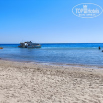 фото из отзыва ID 2650086