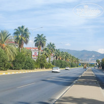 фото из отзыва ID 2650111