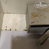 фото из отзыва ID 2650121