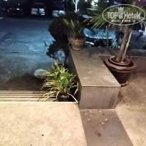 фото из отзыва ID 2650121