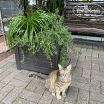 фото из отзыва ID 2650155