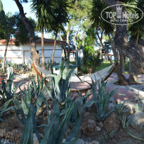 фото из отзыва ID 2650193