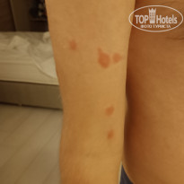 фото из отзыва ID 2650241