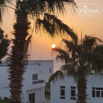 фото из отзыва ID 2650265