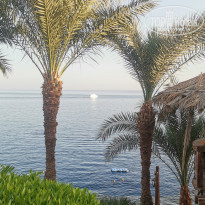 фото из отзыва ID 2650265