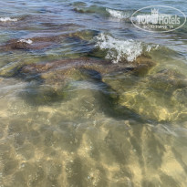 фото из отзыва ID 2650283