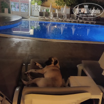 фото из отзыва ID 2650346