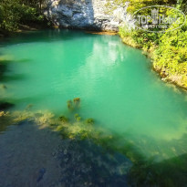 фото из отзыва ID 2650370