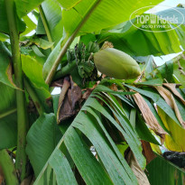 фото из отзыва ID 2650370