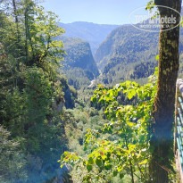 фото из отзыва ID 2650370