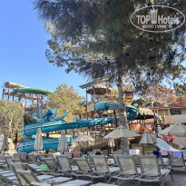 фото из отзыва ID 2650379