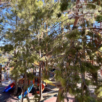 фото из отзыва ID 2650379