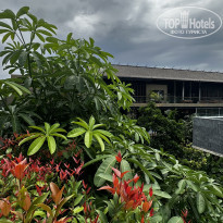 фото из отзыва ID 2650240