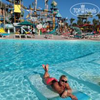 фото из отзыва ID 2650438