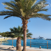 фото из отзыва ID 2650438