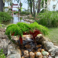 фото из отзыва ID 2650446