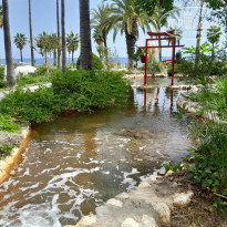 фото из отзыва ID 2650446