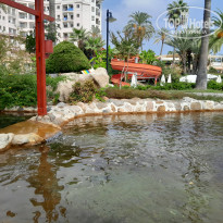 фото из отзыва ID 2650446