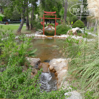 фото из отзыва ID 2650446