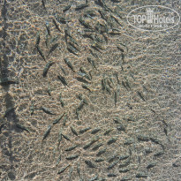 фото из отзыва ID 2650464