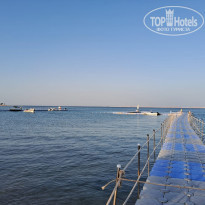 фото из отзыва ID 2650464