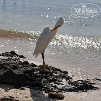 фото из отзыва ID 2650464