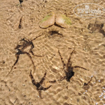 фото из отзыва ID 2650464