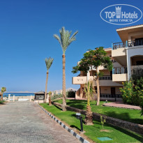 фото из отзыва ID 2650464