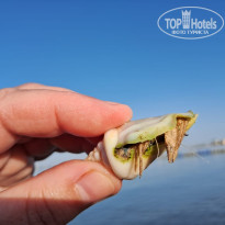 фото из отзыва ID 2650464