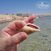 фото из отзыва ID 2650464