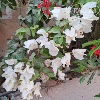 фото из отзыва ID 2650464