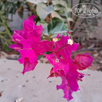 фото из отзыва ID 2650464