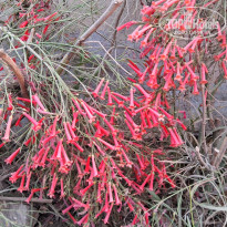 фото из отзыва ID 2650464