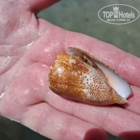 фото из отзыва ID 2650464