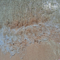 фото из отзыва ID 2650464