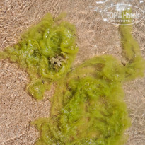 фото из отзыва ID 2650464