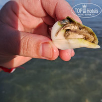 фото из отзыва ID 2650464