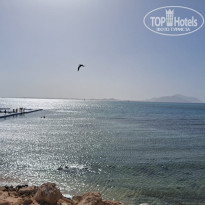 фото из отзыва ID 2650464