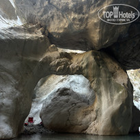 фото из отзыва ID 2650460