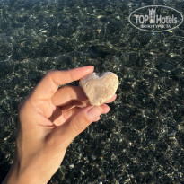 фото из отзыва ID 2650460